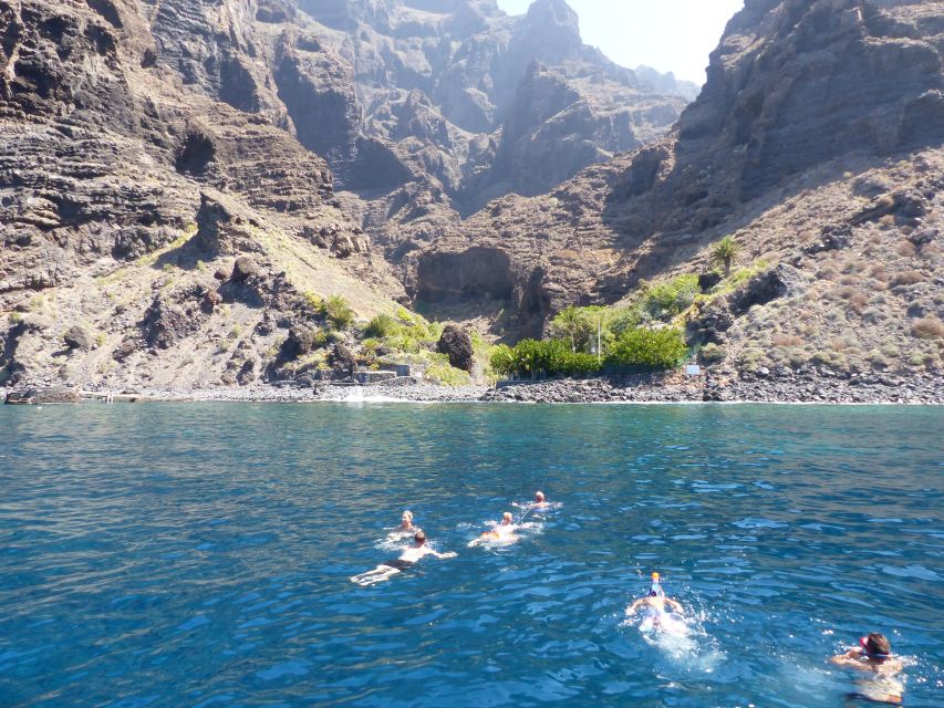 Tenerife: Los Gigantes Whale Watching Cruise by Sail Boat - Tips that help you enjoy the boat ride, not fight it