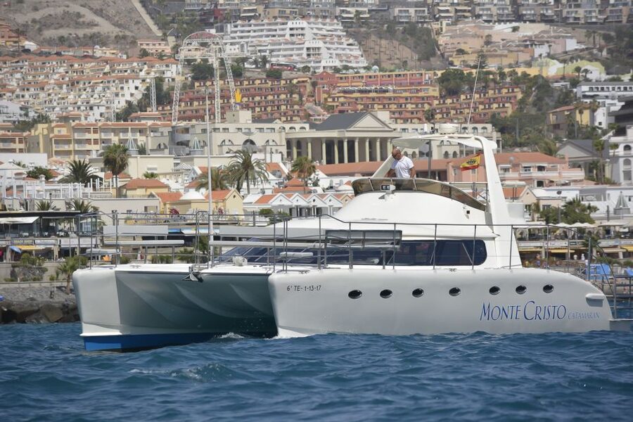 Tenerife: Marine-Life Tour with Transfer, Buffet and Drinks - Why Tenerife’s Monte Cristo Catamaran Works for Marine-Life Watching