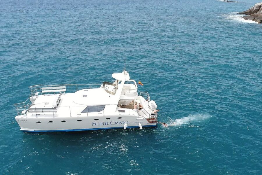 Tenerife: Marine-Life Tour with Transfer, Buffet and Drinks - How the Crew Finds Dolphins and Whales, and How You Can Help the Odds