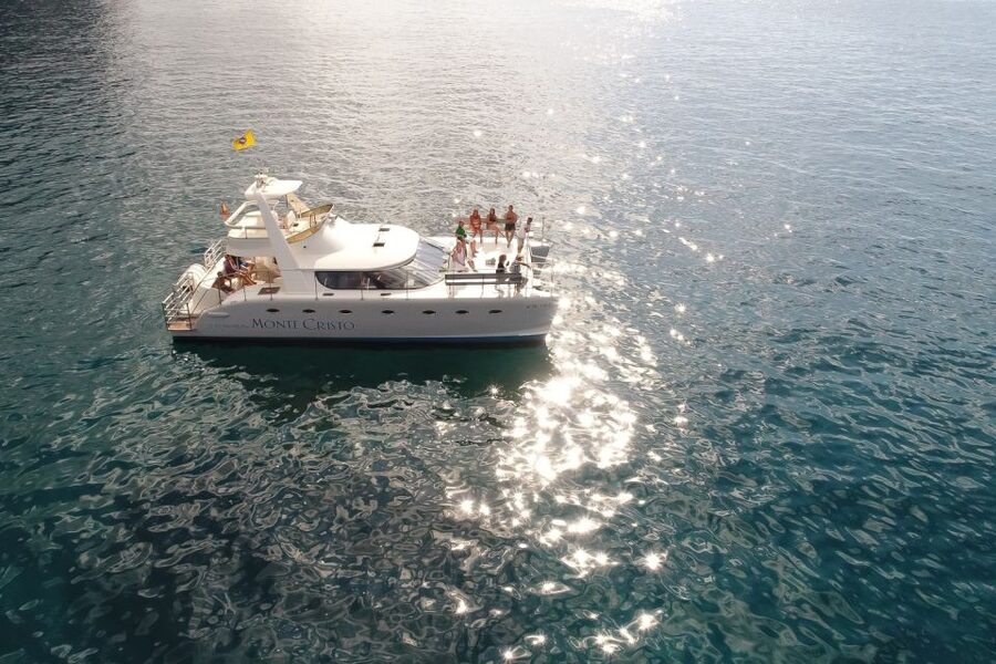 Tenerife: Marine-Life Tour with Transfer, Buffet and Drinks - Getting There: Pickup Options and Dock #6 at Puerto Colon