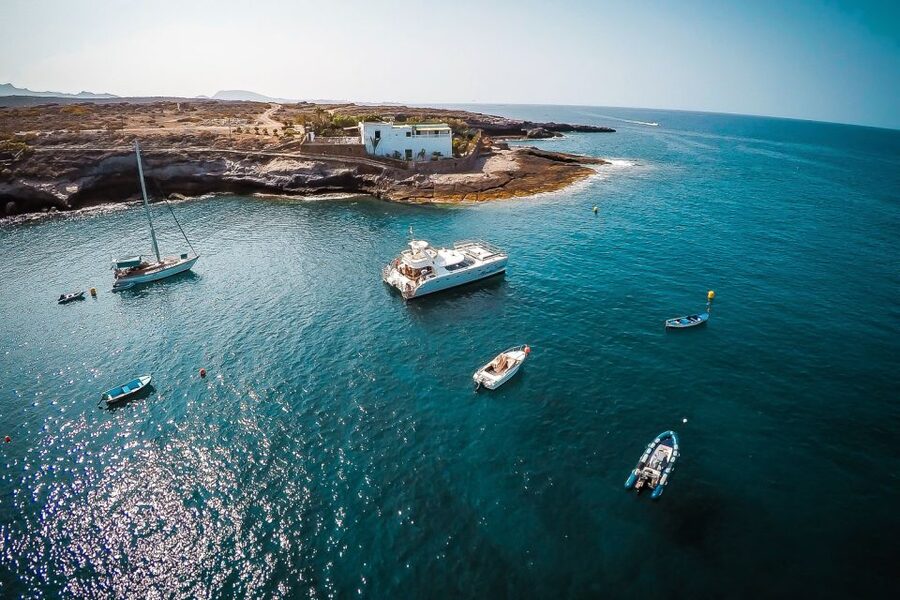 Tenerife: Marine-Life Tour with Transfer, Buffet and Drinks - Is the $69 Price Fair? Value for Marine Time, Food, and Drinks