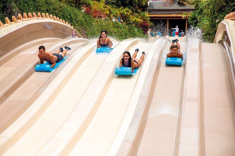 Tenerife: Siam Park All-Inclusive Entry Ticket - Tower of Power, near 100 feet of vertical nerve