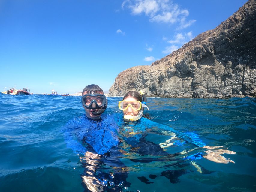 Tenerife Snorkeling boat trip in a Turtle Habitat - Should you book the Tenerife turtle habitat snorkeling boat trip?