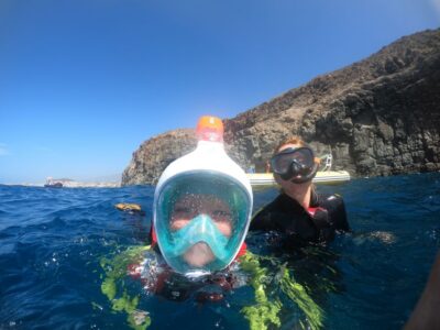 Tenerife Snorkeling boat trip in a Turtle Habitat