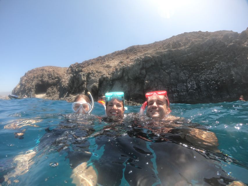 Tenerife Snorkeling boat trip in a Turtle Habitat - Price and value: $42 that includes the stuff most people forget to budget