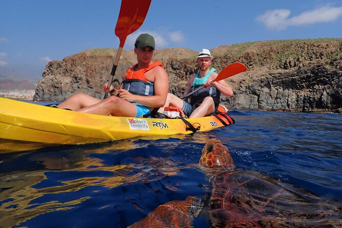Tenerife: Turtle & Dolphin Kayak Tour with Snorkel & Wetsuit - Meet at Xplore Tenerife in Los Cristianos, then slide into the ocean