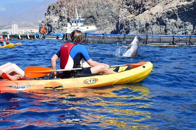 Tenerife: Turtle & Dolphin Kayak Tour with Snorkel & Wetsuit - The middle snorkeling stop, wetsuits and all, plus what to expect in the water