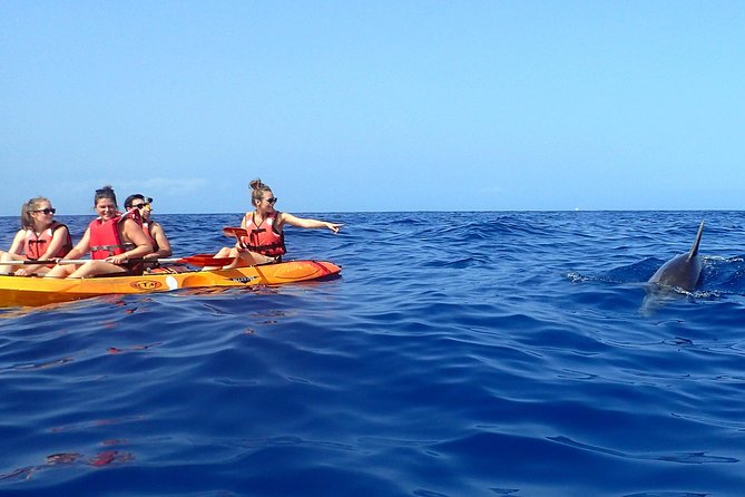 Tenerife: Turtle & Dolphin Kayak Tour with Snorkel & Wetsuit - Guides make or break the day, and this one is strong on support