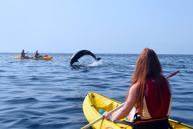 Tenerife: Turtle & Dolphin Kayak Tour with Snorkel & Wetsuit - What to bring so you don’t spend the day thinking about logistics