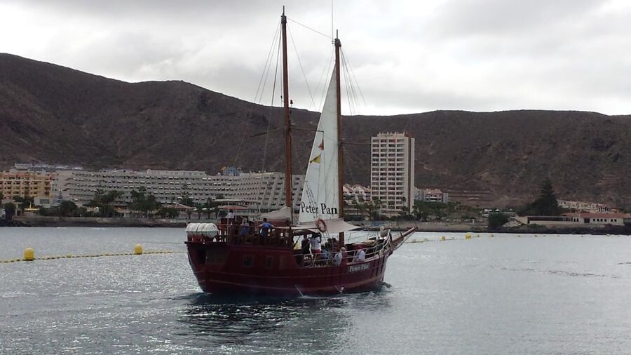 Tenerife: Whale & Dolphin Watching Cruise with Swim Stop - Key highlights you’ll feel right away