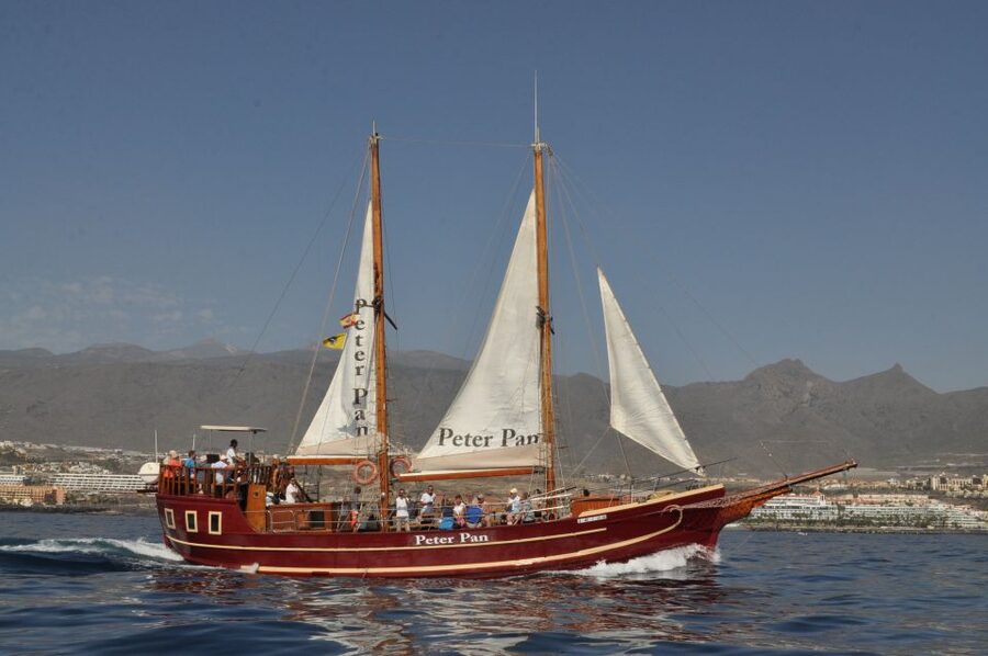 Tenerife: Whale & Dolphin Watching Cruise with Swim Stop - Price and value at about $29 per person