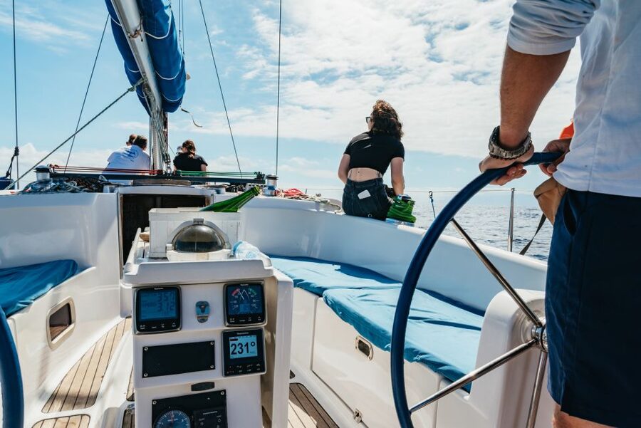 Tenerife: Whale & Dolphin Watching with Drinks and Snacks - Onboard setup: what you get, what you should bring