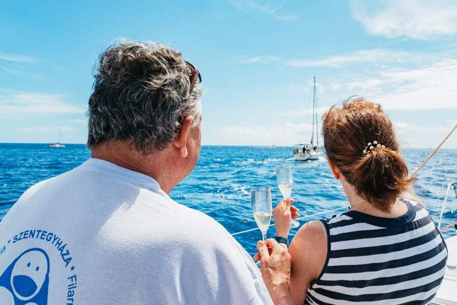 Tenerife: Whale & Dolphin Watching with Drinks and Snacks - The wildlife search: dolphins, pilot whales, and turtles in conservation waters