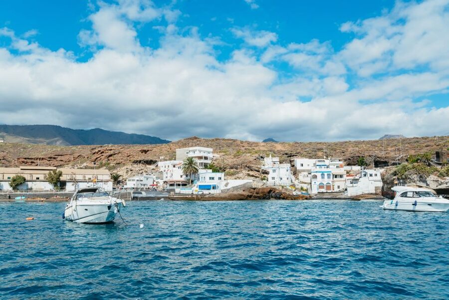 Tenerife: Whale & Dolphin Watching with Drinks and Snacks - How the cruise feels when the sea is calm, and when it isn’t