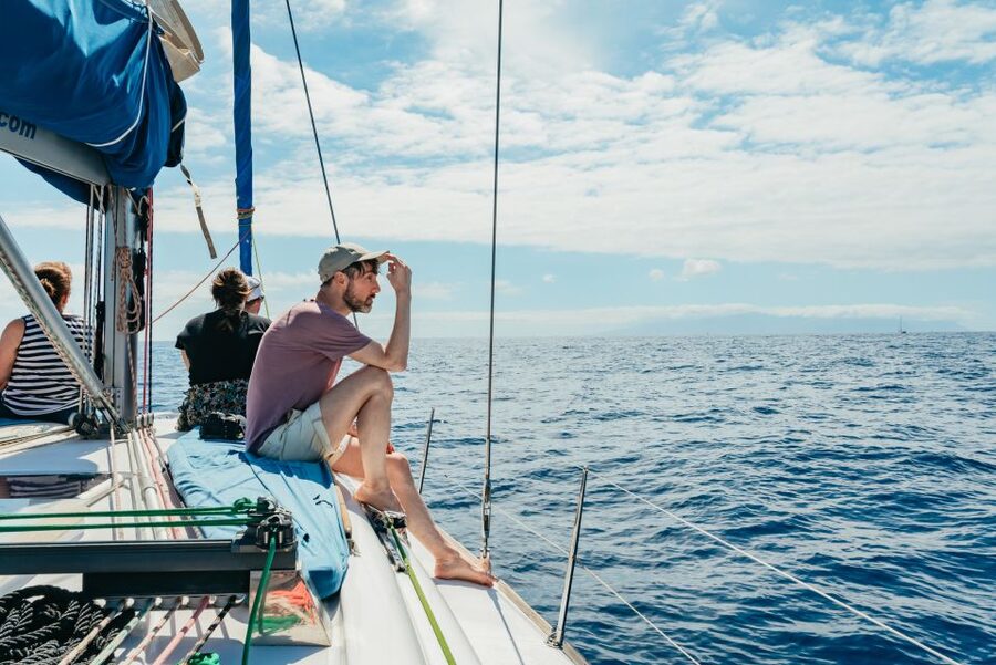 Tenerife: Whale & Dolphin Watching with Drinks and Snacks - Drinks, snacks, and baguettes: the part that keeps the mood easy