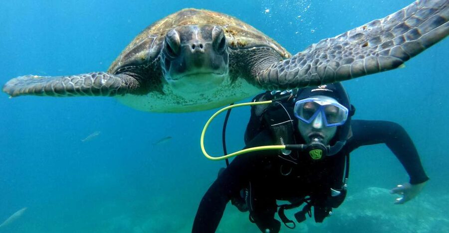 Tenerife: Your First Scuba Diving Experience in Turtle Area - Getting Oriented at Travel Sub Dive Centre, Costa Adeje