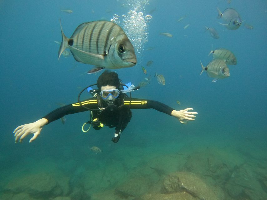 Tenerife: Your First Scuba Diving Experience in Turtle Area - Safety Briefing That Actually Matters (Before You Hit the Water)