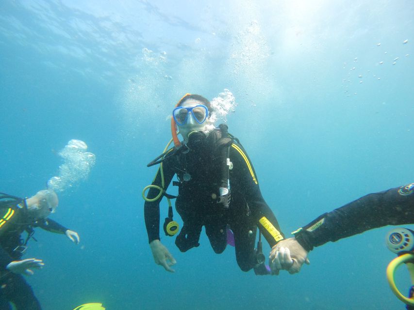 Tenerife: Your First Scuba Diving Experience in Turtle Area - Price and Value: What $84 Actually Buys You