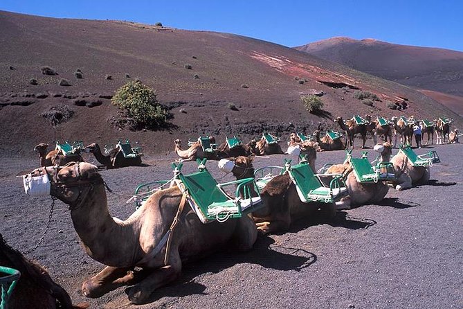 Timanfaya, Golfo, Jameos Agua & Camel Ride (opt) - Lanzarote - Islote de Hilario: geothermal experiments that make the island make sense