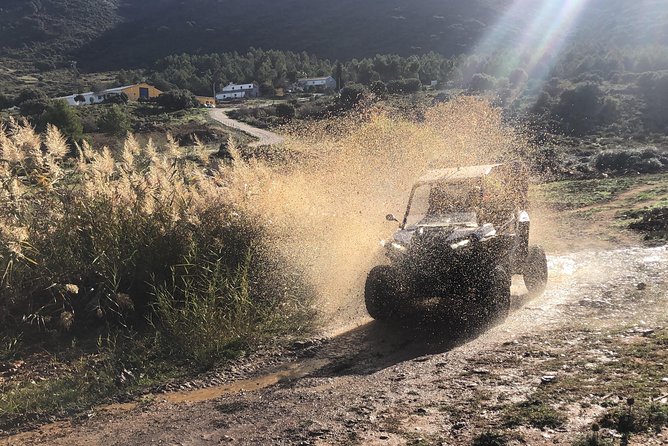 TopBuggy Buggy Safari Ronda Gorge Trip - Price and value: what $223.82 buys you for up to two