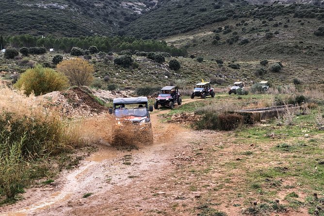 TopBuggy Buggy Safari Ronda Gorge Trip - Who should book this buggy tour in Ronda, and who should pause