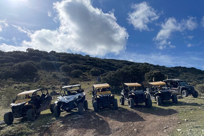 TopBuggy Buggy Safari Ronda Gorge Trip - My booking checklist before you choose TopBuggy