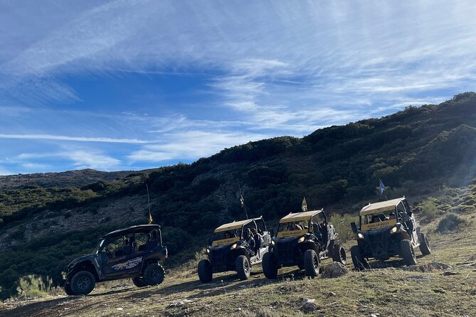 TopBuggy Buggy Safari Ronda Gorge Trip - Should you book this Ronda Gorge buggy safari?