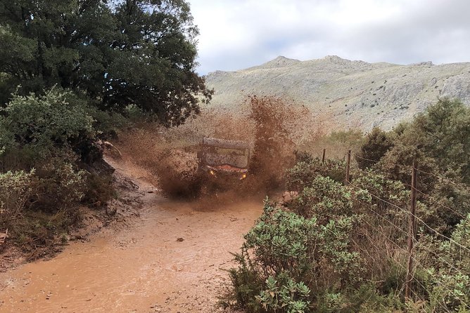 TopBuggy Buggy Safari Ronda Gorge Trip - Meeting point and timing: how to start smoothly in Ronda