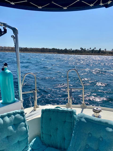 Torrevieja: Costa Blanca Catamaran Cruise - Price and value: why this feels like good value at around $65