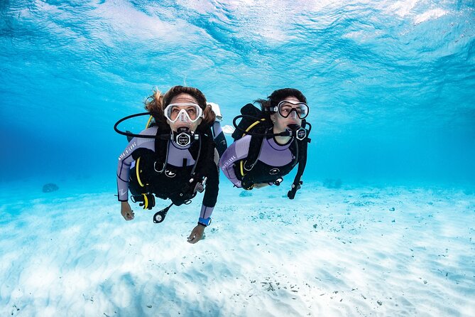 Try Dive - PADI Discover Scuba Diving in Tenerife - First Steps at Scubanana in Radazul (3:00 pm Start)