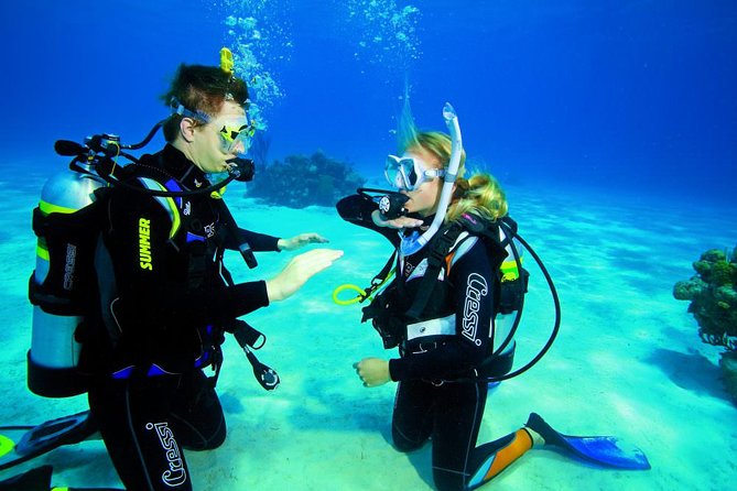 Try Dive - PADI Discover Scuba Diving in Tenerife - Should You Book Try Scuba in Tenerife with Scubanana?
