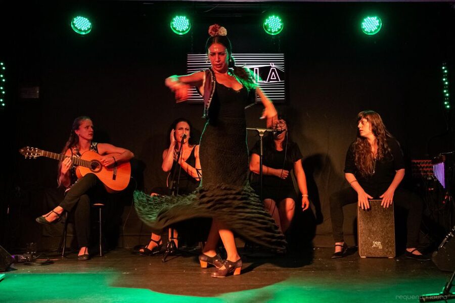 Valencia: Authentic Flamenco Show Entry Ticket - The 1-hour flamenco experience, from arrival to final note