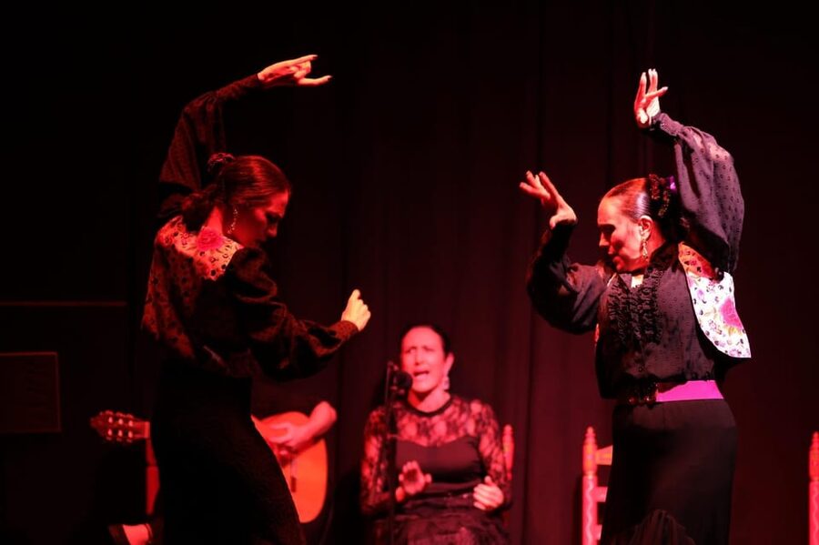 Valencia: Authentic Flamenco Show Entry Ticket - Quick practical notes for your night at Ca Revolta