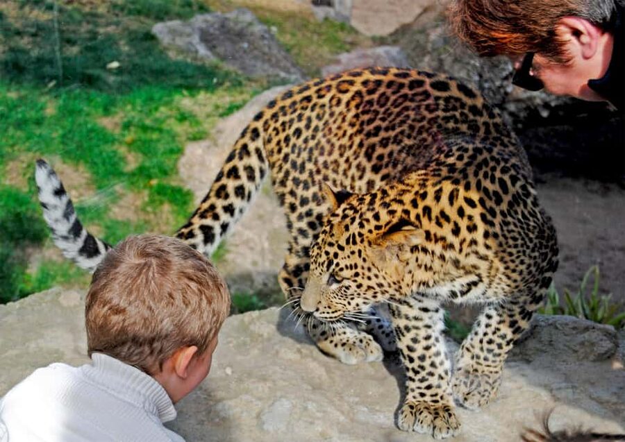 Valencia: Bioparc Valencia Admission Ticket - How to plan your entry time and still feel unhurried
