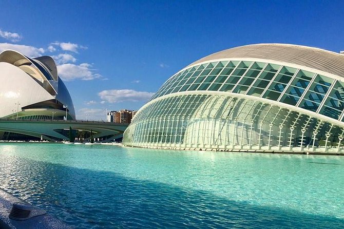 Valencia City Excursion - From Albir, Benidorm & Calpe - Turia Riverbed Gardens: The Walk That Makes Valencia Feel Different