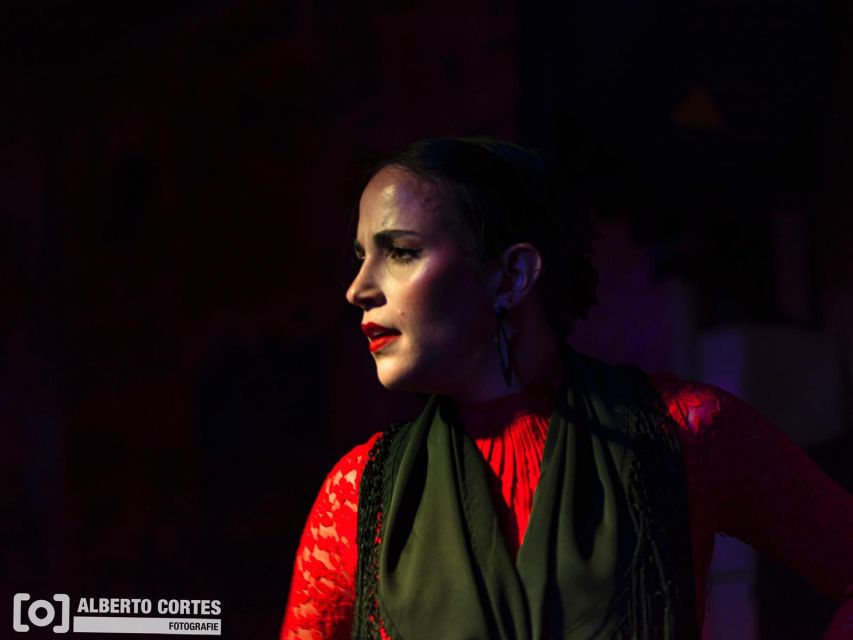 Valencia: Flamenco at Toro y La Luna with optional Dinner - Who should book this, and who might want a different plan