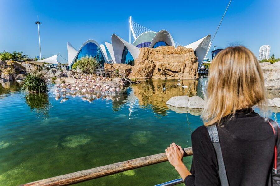 Valencia: Oceanogràfic Entry Ticket - How long should you plan: 3, 4, or 6 hours?