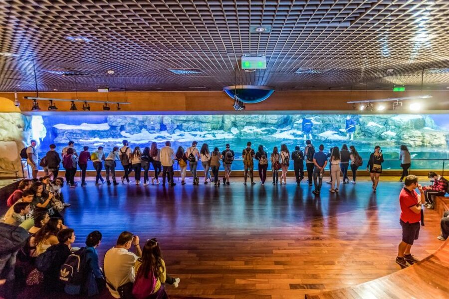Valencia: Oceanogràfic Entry Ticket - Food, drinks, and how to avoid the biggest budget surprises