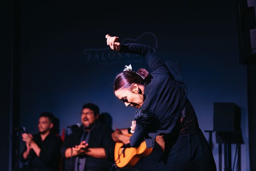 Valencia: Palosanto Flamenco Show Ticket - Seating without numbers: your best strategy for a good view