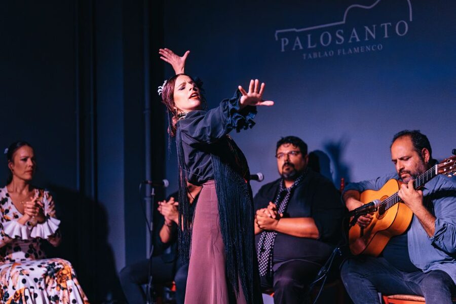 Valencia: Palosanto Flamenco Show Ticket - What the flamenco show feels like inside the tablao