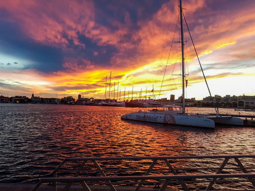 Valencia: Sailing Catamaran Cruise with Sunset Option and DJ - Sunset cruise with cava: the skyline turns gold