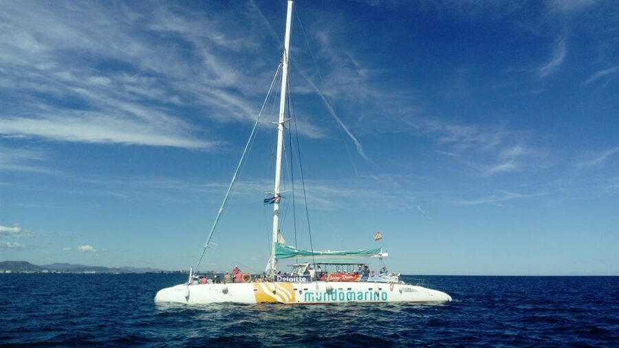 Valencia: Sailing Catamaran Cruise with Valencian Lunch - Practical Tips Before You Go (Small Things That Matter)