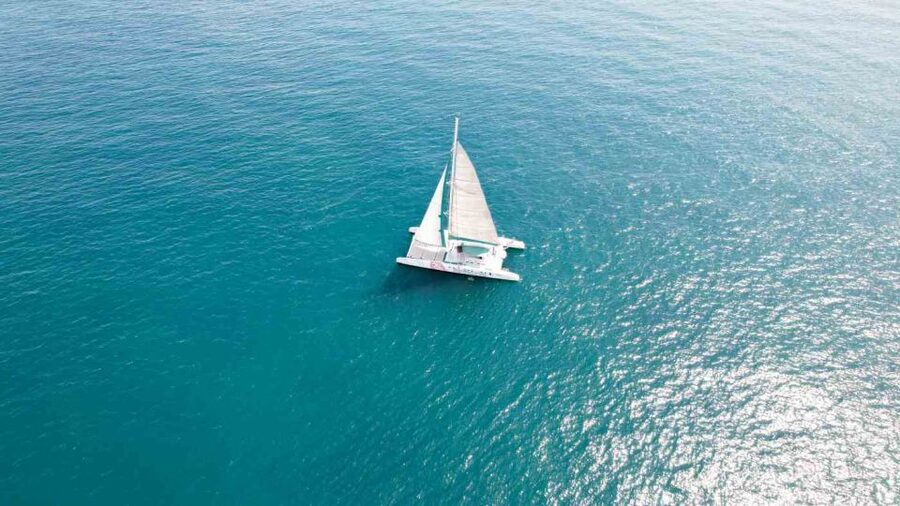Valencia: Sailing Catamaran Cruise with Valencian Lunch - Price and Value for About $50 Per Person, Is It Worth It?