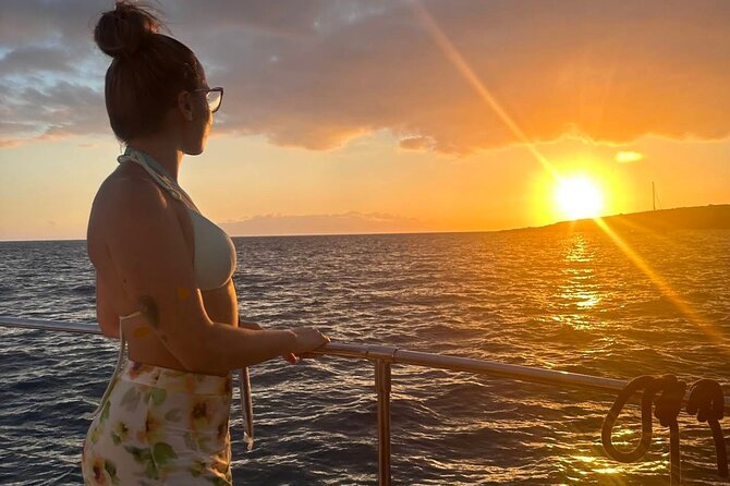 Whale and Dolphin Watching Catamaran with Transfer and Buffet - What the Crew Does During Whale Time (and Why It Matters)