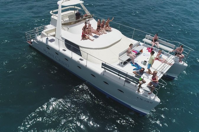 Whale and Dolphin Watching Catamaran with Transfer and Buffet - Swim and Snorkel Stop Off the South Coast: Fun, But Manage Expectations