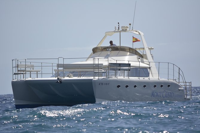 Whale and Dolphin Watching Catamaran with Transfer and Buffet - The 3-Hour Plan: Searching for Cetaceans, Then a Calm South-Coast Sail
