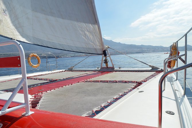 Whale watching and listening Eco-Catamaran Tour with Food Tasting - Key things to know before you go