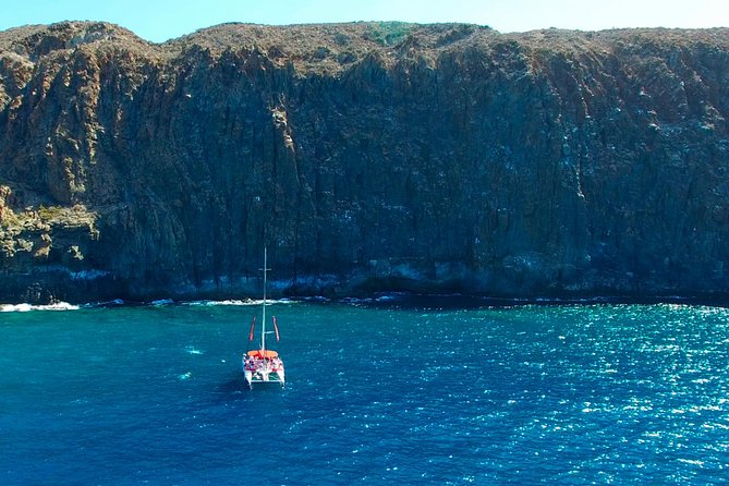 Whale watching and listening Eco-Catamaran Tour with Food Tasting - Where you meet at Puerto Colón (and how to plan around it)