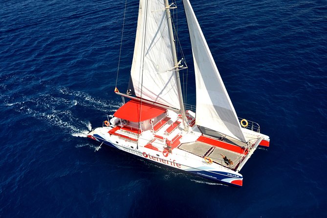 Whale watching and listening Eco-Catamaran Tour with Food Tasting - Whale watching with live captain commentary, including underwater listening
