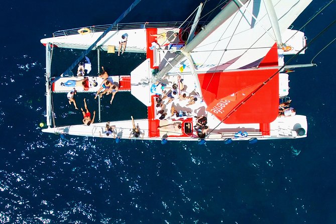 Whale watching and listening Eco-Catamaran Tour with Food Tasting - Swimming and snorkeling stop: what to bring and what to expect